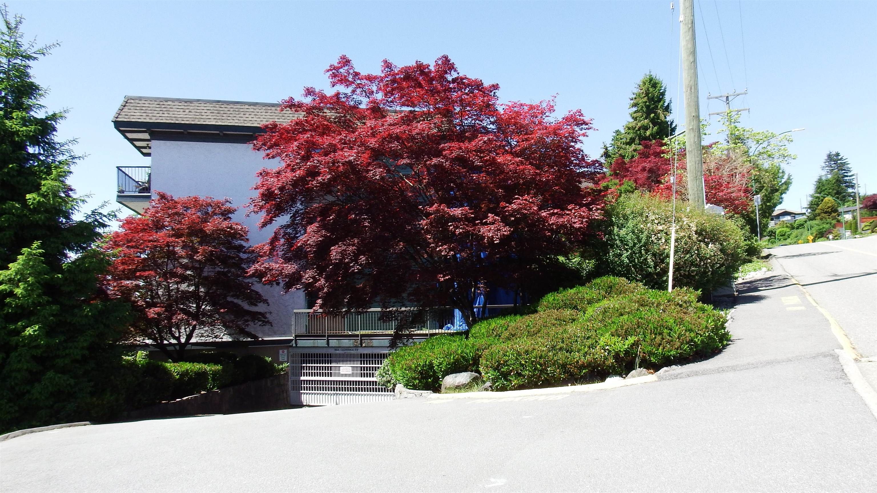 I have sold a property at 213 5450 EMPIRE DR in Burnaby
